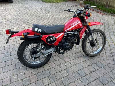 Suzuki TS250ERX 1981